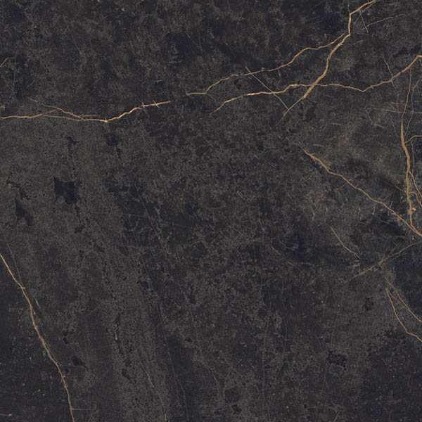 Фото Керамогранит EPOQUE BLACK RET (PF60004307) 60x60 от Ariana