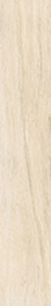 Фото Керамогранит Antique Ivory Fondi Nat.Rettificat 20x120 от Cerdomus