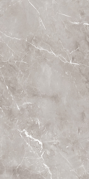 Фото Керамогранит EPOQUE GREY LAP (PF60004301) 60x120 от Ariana