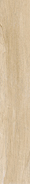 Фото Керамогранит Antique Oak Fondi Nat.Rettificat 20x120 от Cerdomus