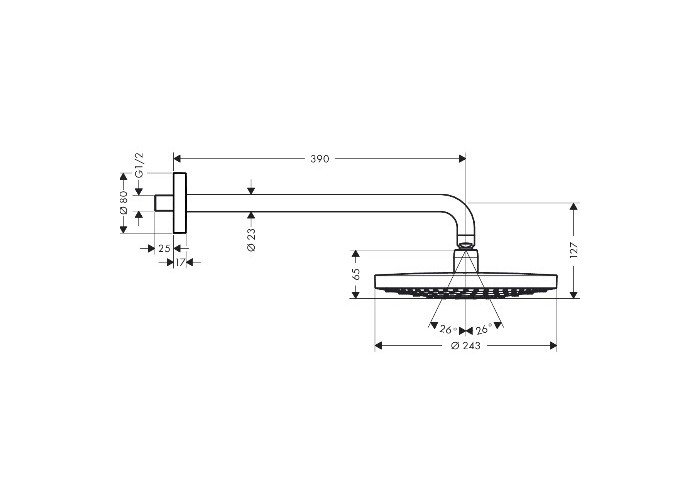 Фото Верхний душ hansgrohe Raindance Select S 26466400