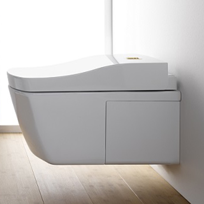 Фото Электронное крышка-сиденье TOTO Neorest TCF996RWG#NW1