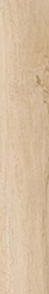 Фото Керамогранит Antique Clay Fondi Nat.Rettificat 20x120 от Cerdomus
