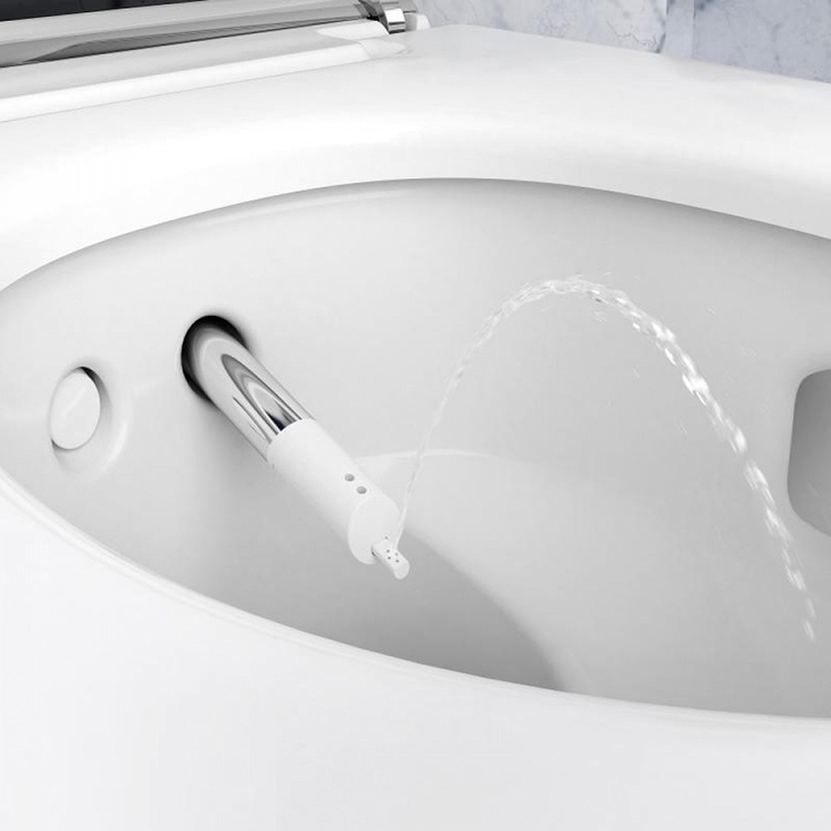 Фото Унитаз биде Geberit AquaClean Mera Classic 146.204.21.1
