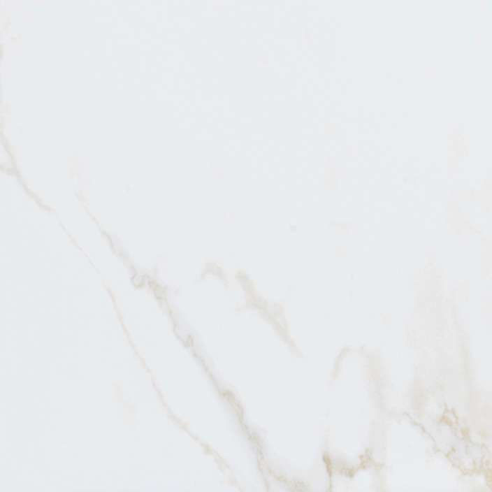 Фото Керамогранит Persia 59.6x59.6 (P18569991) Porcelanosa