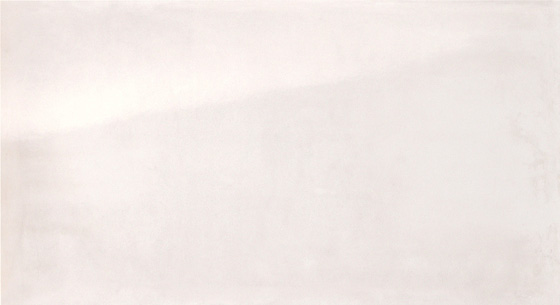 Фото Керамогранит Frame White 30.5x56 (fLEE 20227) FAP Ceramiche