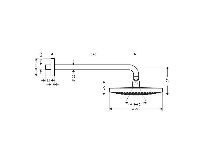 Фото Верхний душ hansgrohe Raindance Select S 26466000