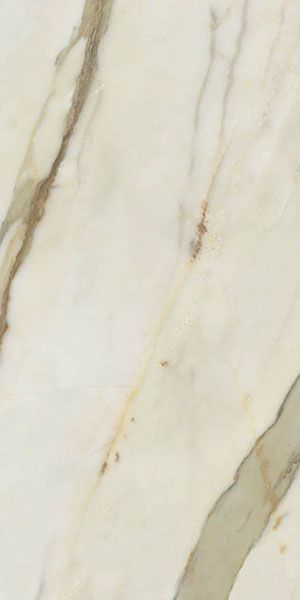 Фото Керамогранит I Marmi Borghe Matt 60x120 (0143591) Unica Ceramiche