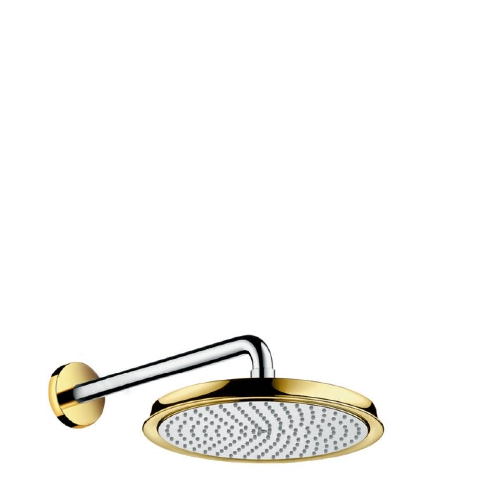 Фото Верхний душ hansgrohe Raindance Classic 1jet 27424090 с держателем