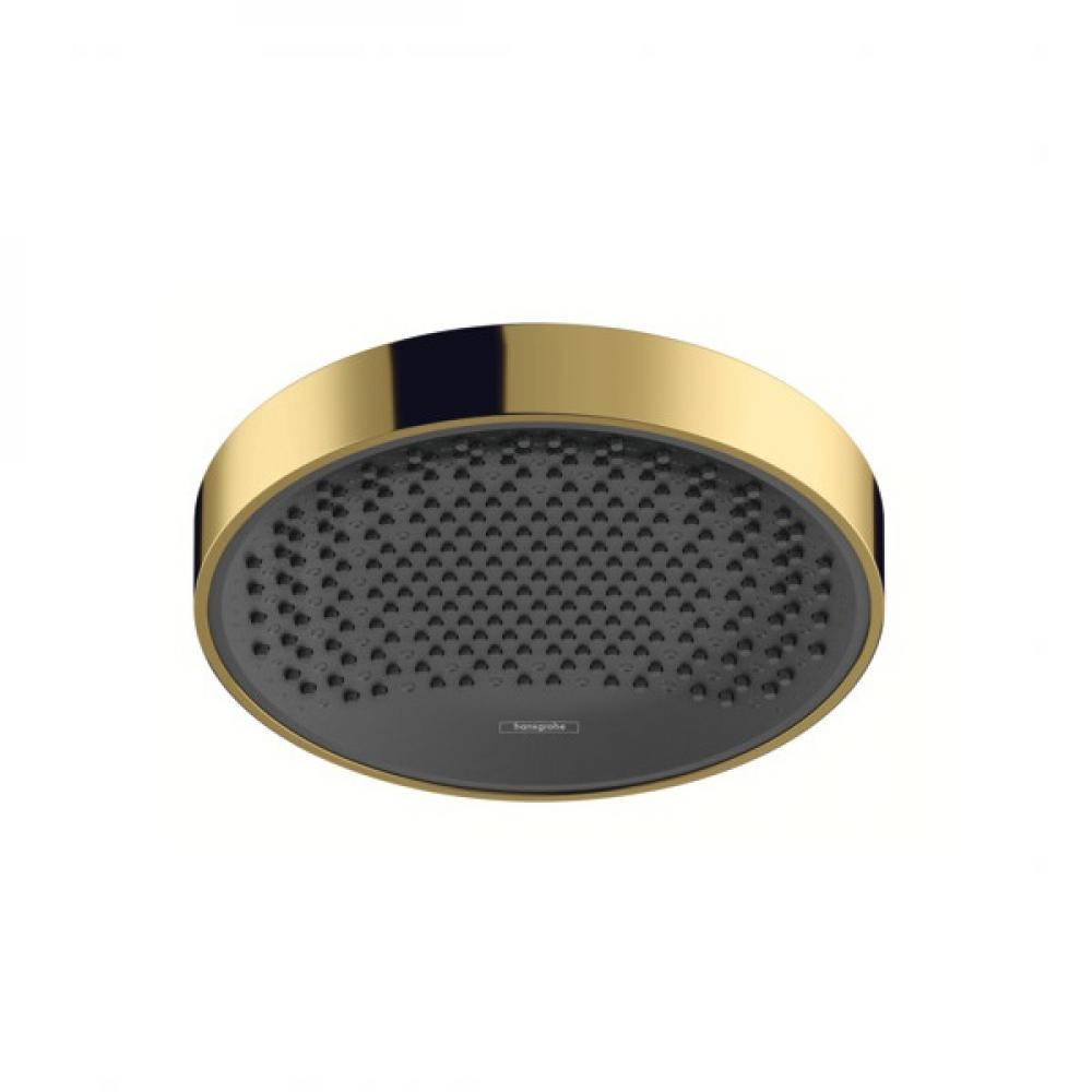Фото Верхний душ hansgrohe Rainfinity 250 1jet 26228990 золото