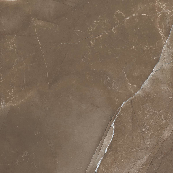 Фото Керамогранит Pulpis Puro Nat/Rett 65415 (UGL) 60x60 от Cerdomus