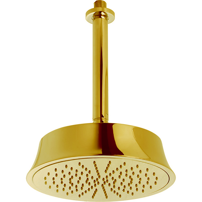 Фото Верхний душ Cisal Shower DS01328024 золото