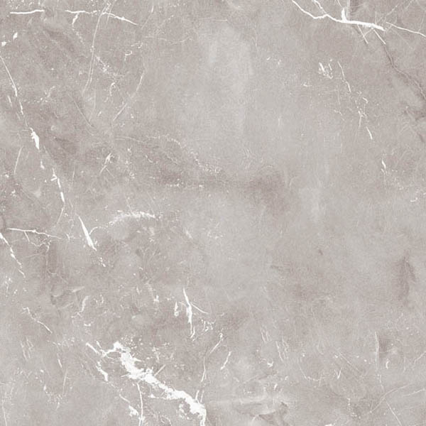 Фото Керамогранит EPOQUE GREY RET (PF60004309) 60x60 от Ariana