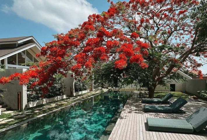 ASAI VILLAS