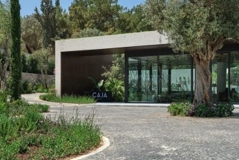 Caja by Maxx Royal