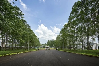 CitraLand BSB City Semarang - Forest Hill