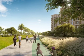 Creek Beach - Mangrove