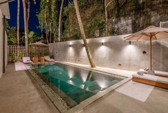 JUNGLE VISTA