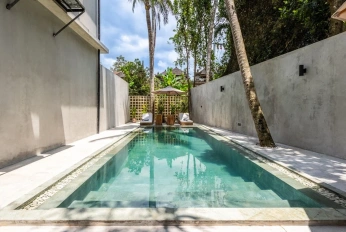 JUNGLE VISTA