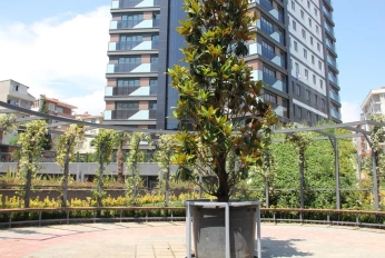 Kartallife Atalar