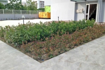 Koru Park