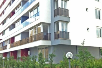 Koru Park