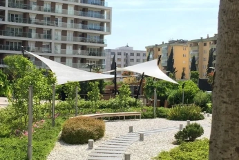 Koru Park