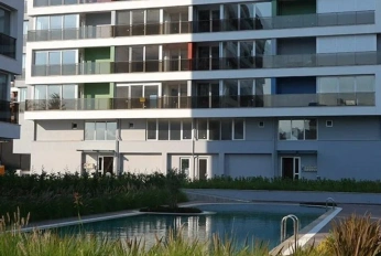 Koru Park