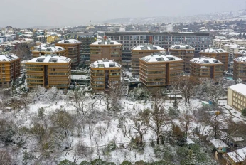 Kosuyolu Koru Evleri