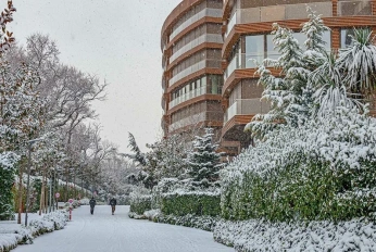 Kosuyolu Koru Evleri