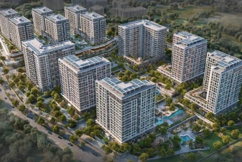 Kuzey Adalar