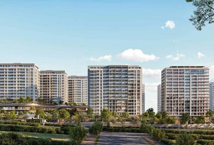 Kuzey Adalar
