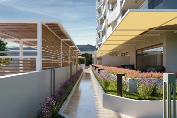 MARVISTA PALM LIFE