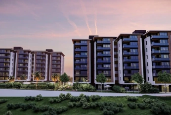 Terra Modern