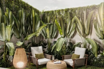 Ubud Dream