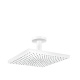 Фото Верхний душ hansgrohe Raindance E 300 1jet 26250700 с потолочным подсоединением