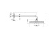 Фото Верхний душ hansgrohe Raindance Select S 26466400