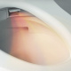 Фото Подвесной унитаз TOTO Neorest WX1 CW927PZY