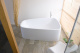 Фото Акриловая ванна Hoesch SingleBath Duo Длина 170 см 3699.010