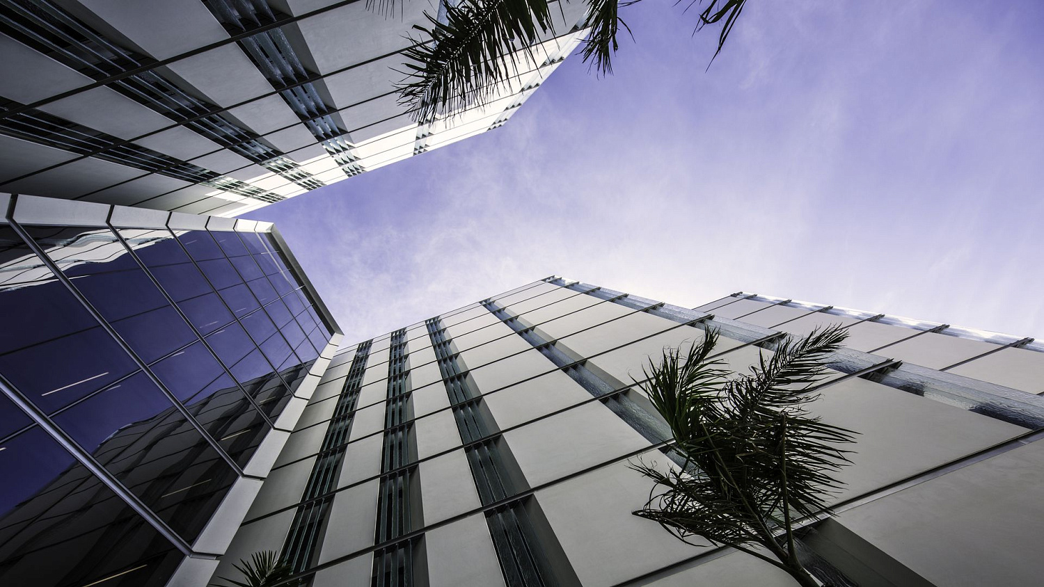 Фото Muraba Residences