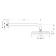 Фото Верхний душ hansgrohe Raindance Classic 1jet 27424090 с держателем
