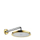 Фото Верхний душ hansgrohe Raindance Classic 1jet 27424090 с держателем