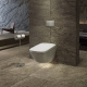 Фото Подвесной унитаз TOTO Neorest WX1 CW927PZY