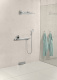 Фото Верхний душ hansgrohe Rainmaker Select 24003600