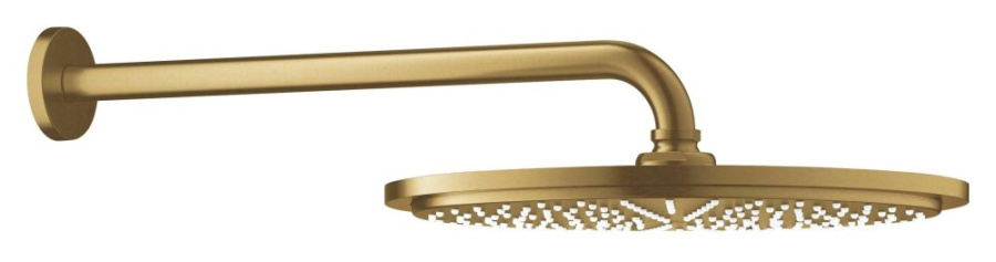 Фото Верхний душ Grohe Rainshower 26066GN0 холодный рассвет матовый
