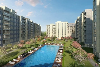 Meydan Ardicli