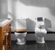 Фото Раковина Villeroy&Boch Hommage 7102A1R1