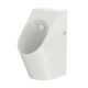 Фото Писсуар TOTO UWN926EBS#XW