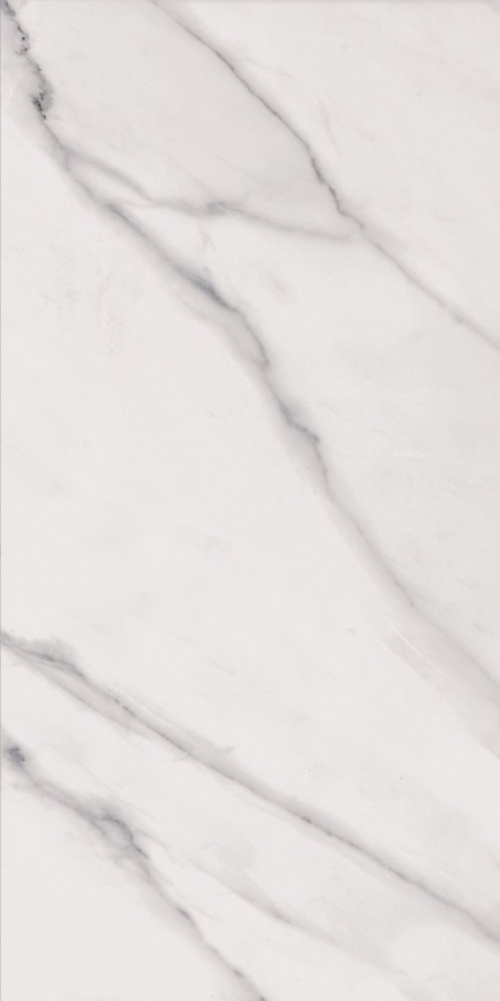 Фото Керамогранит Flaviker Supreme SP6110P 60x120